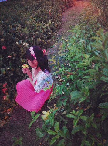 journal_insert_pic_322280813