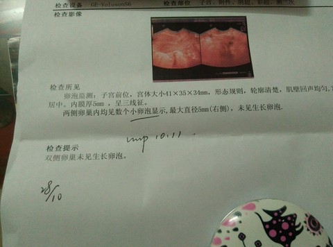 journal_insert_pic_324389089