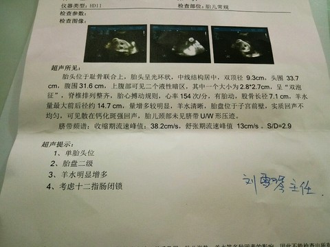 journal_insert_pic_325801851