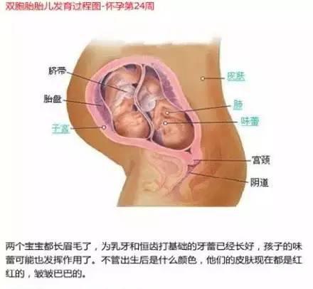 journal_insert_pic_325530998