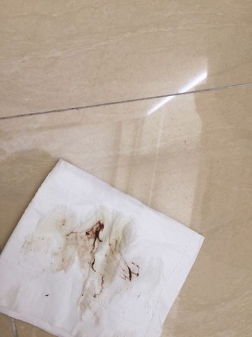 journal_insert_pic_326258545