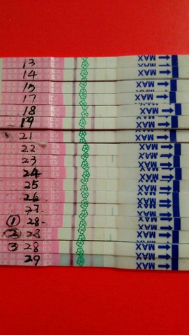 journal_insert_pic_327160318
