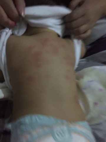 journal_insert_pic_328860173