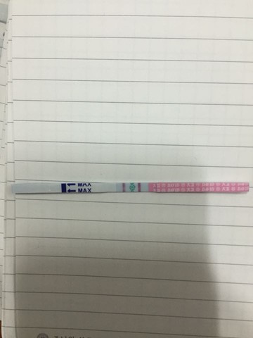 journal_insert_pic_328677342