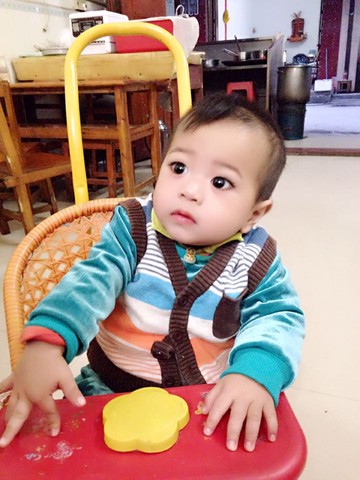 journal_insert_pic_330228663