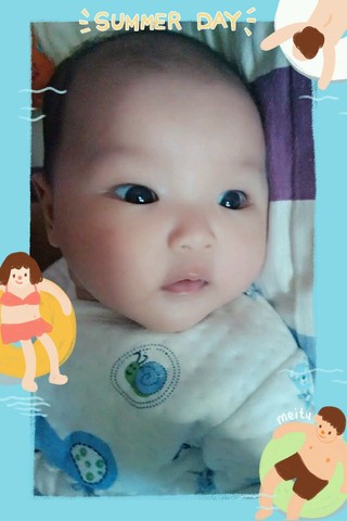 journal_insert_pic_332705413