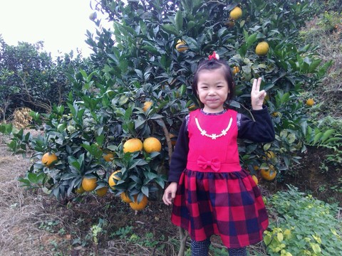 journal_insert_pic_333714375