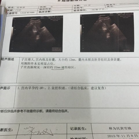 journal_insert_pic_334256928