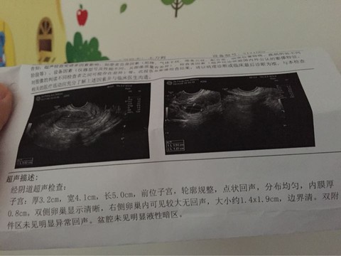 journal_insert_pic_334098795