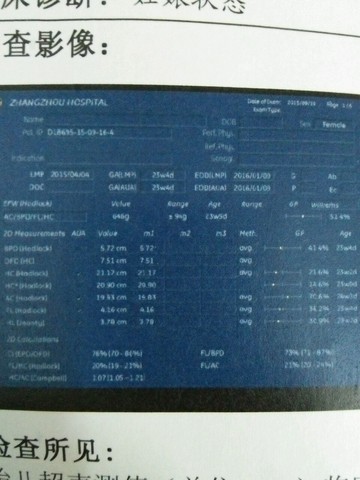 journal_insert_pic_335116339
