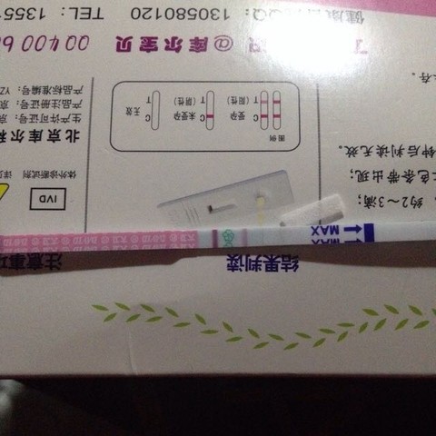 journal_insert_pic_335320335