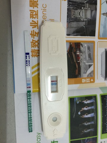 journal_insert_pic_335841622