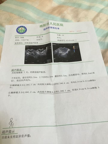 journal_insert_pic_336230521