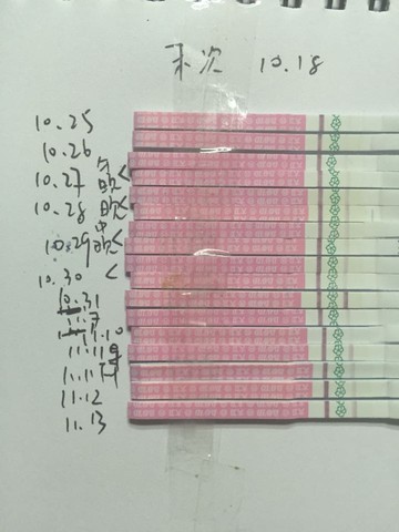 journal_insert_pic_337443764