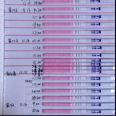 journal_insert_pic_339150135