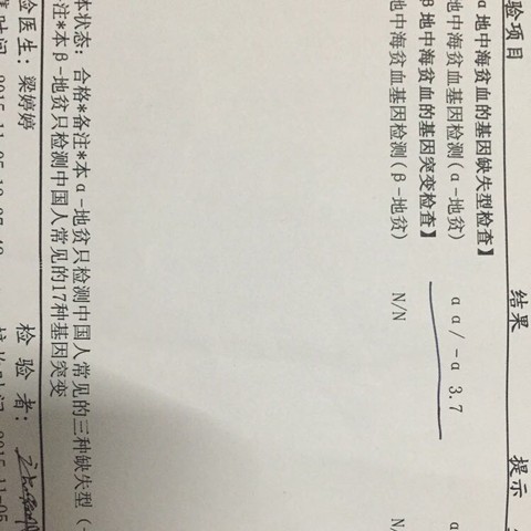 journal_insert_pic_340234613