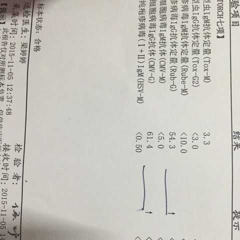 journal_insert_pic_340234656