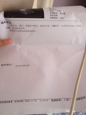 journal_insert_pic_339850281