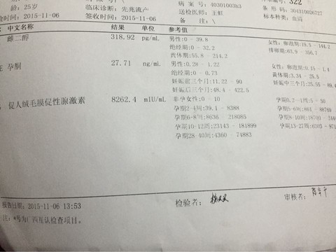 journal_insert_pic_340982706