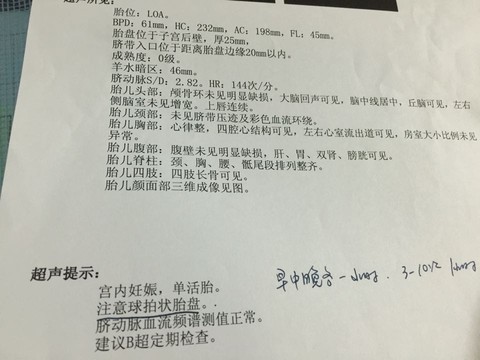 journal_insert_pic_341563877