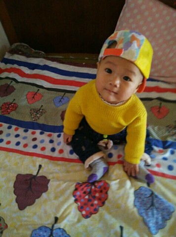 journal_insert_pic_345599515