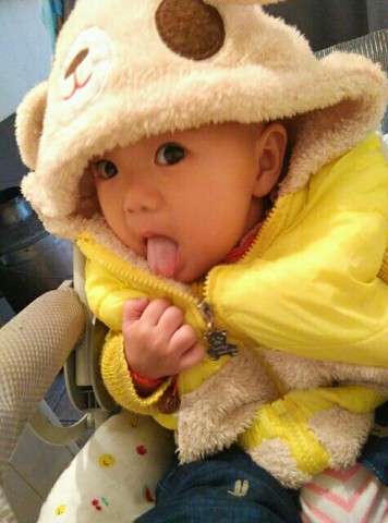 journal_insert_pic_345599429