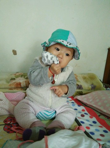 journal_insert_pic_345599647