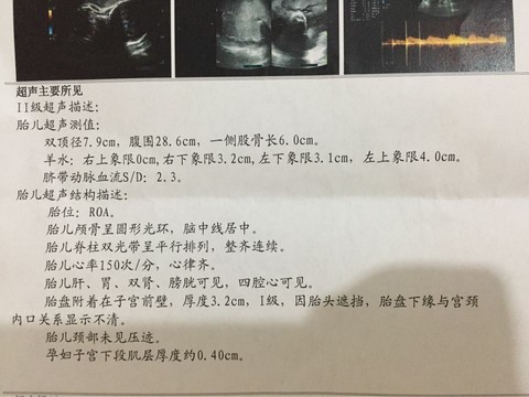 journal_insert_pic_347091042