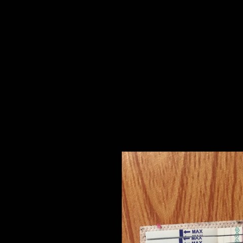 journal_insert_pic_347450397