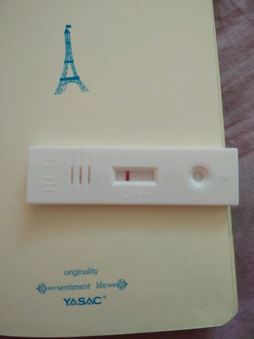 journal_insert_pic_347367582