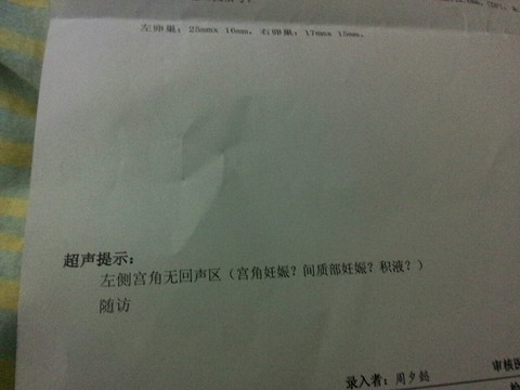 journal_insert_pic_350152926