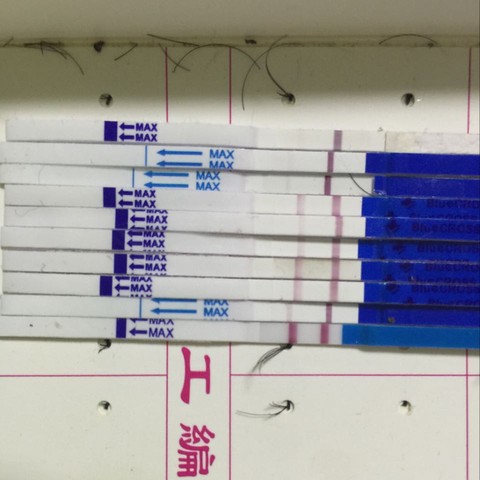 journal_insert_pic_351129154