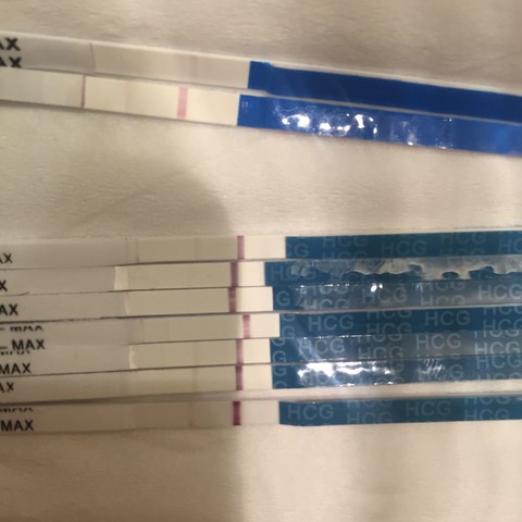 journal_insert_pic_351039287