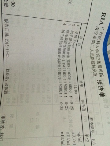 journal_insert_pic_351074484