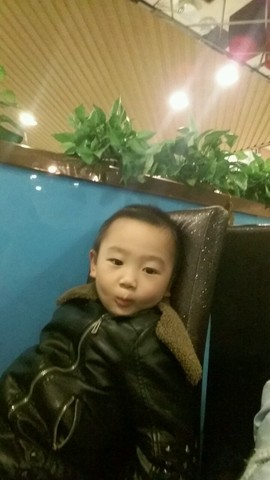 journal_insert_pic_352792573