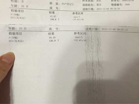 journal_insert_pic_356910082