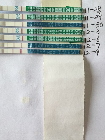 journal_insert_pic_356910056