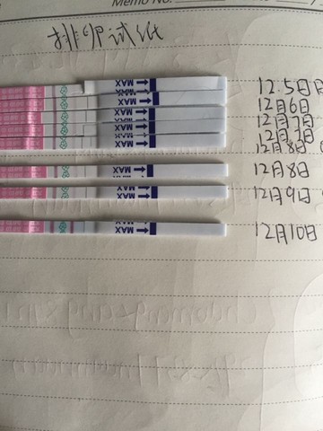journal_insert_pic_357639164