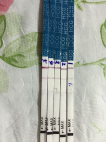 journal_insert_pic_358034442