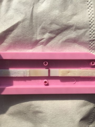 journal_insert_pic_358822807