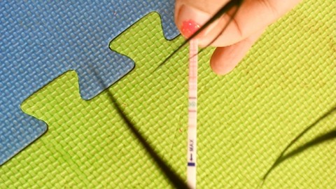 journal_insert_pic_362085959