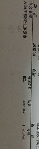 journal_insert_pic_362155695