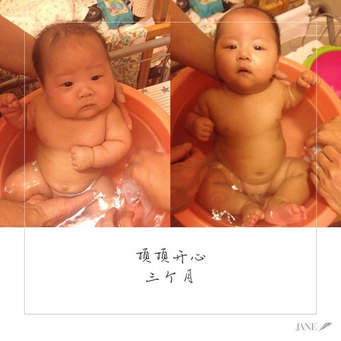 journal_insert_pic_367911070