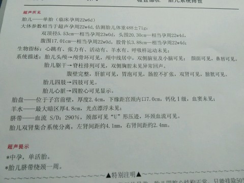 journal_insert_pic_367359025