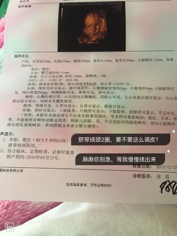 journal_insert_pic_369186936