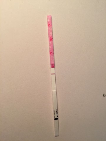 journal_insert_pic_373273492