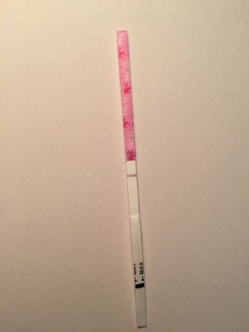 journal_insert_pic_373273509