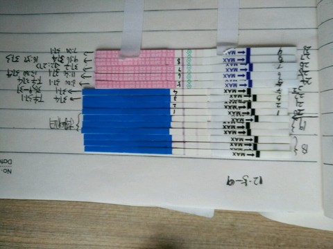 journal_insert_pic_373484844
