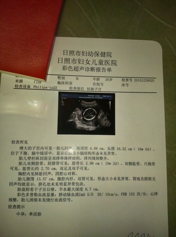 journal_insert_pic_374556820