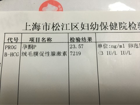 journal_insert_pic_375680325